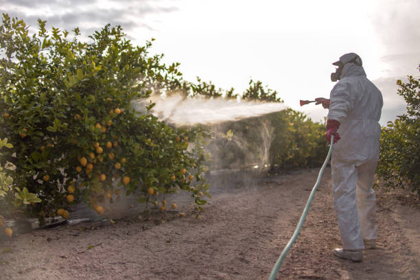 Best Affordable Pest Control Services  in West End, NY