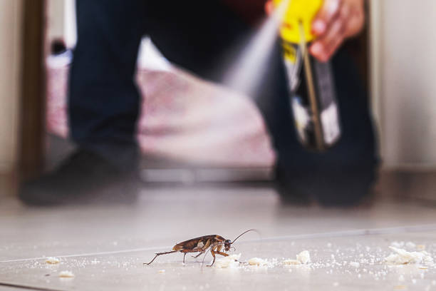 Best Residential Pest Control  in West End, NY